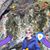 Janice Brinson's profile image