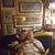 Janice Walls McCaslin's profile image