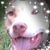 Sami Kae's profile image