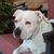 Alicia Alvarez's profile image