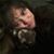 Shawna Cox-Hill's profile image