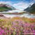 Kathryn M Pingel's profile image