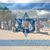 Yigal Doga's profile image