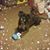Stacy Ogden's profile image