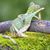 Kathleen LaBranche's profile image