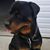 Mark R Edwards's profile image