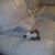 Estrella Balleza's profile image
