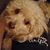 Lara Wroblewski's profile image