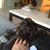 Bo Neiderkester's profile image