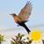Robin Hurt's profile image