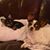 Amy N Burnside's profile image