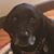 Stephanie Wilcox-Beatty's profile image