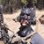 Jason Archer's profile image