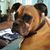 Raymon M White III's profile image
