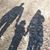 Tricia Chaves's profile image