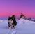 Chastity Rudisill's profile image