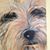 Jackie Stewart's profile image