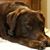 Melanie Stogner Sellers's profile image