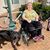 Karin Willison's profile image