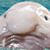 Darrin Stephens's profile image