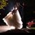 Katherine Sharp's profile image
