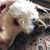Debby Wade's profile image