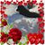 Christine Bull Luke's profile image