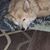 Cristy Mace's profile image