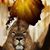 Leonor M Miramontes's profile image