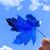 Kate Slyne's profile image