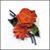 AuntRitz OnEtsy's profile image