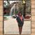 Debbie Sirolli's profile image