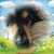 Brenda Hartman's profile image