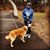 Diane Grieco Leibowitz's profile image