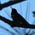 Lynn Horvath's profile image