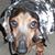 Mike Sheda's profile image