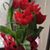 Tina M. Marczak's profile image