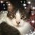 Susan Broehm's profile image