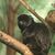 Stephanie Borton- Marcath's profile image