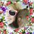 Carol King-Colson's profile image
