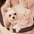 Shelly Carter-Henry's profile image