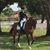 Leslie Munsell's profile image