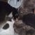 Robert Gallegos's profile image