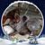 Kathy Seiler Scalf's profile image