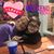 Rosa Isela Rodriguez's profile image