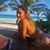 Brooke Blasingame's profile image
