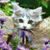 Dancer Galadriel's profile image