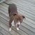 Karen N John Maldonado's profile image
