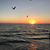 Lynda Mariska Anderson's profile image