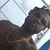 Dwaine Simmons's profile image